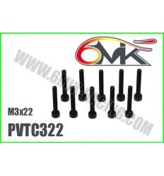 Vis Acier Tête Cylindrique M3x22 (x10)