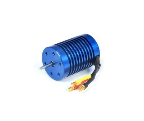 Moteur Brushless pour Pirate XTS ( T4905/7R )