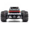 Monster ROGUE TERRA brushless Vert RTR ( 1.ROGT.GR.RTR )
