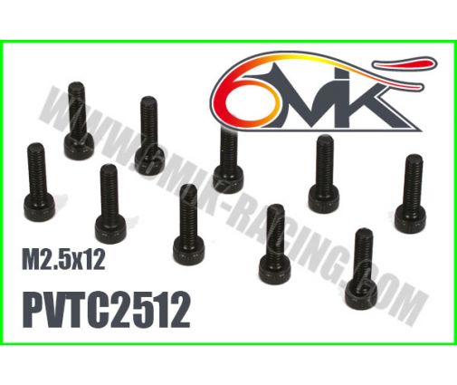 Vis Acier Tête Cylindrique M2,5x12 (x10)