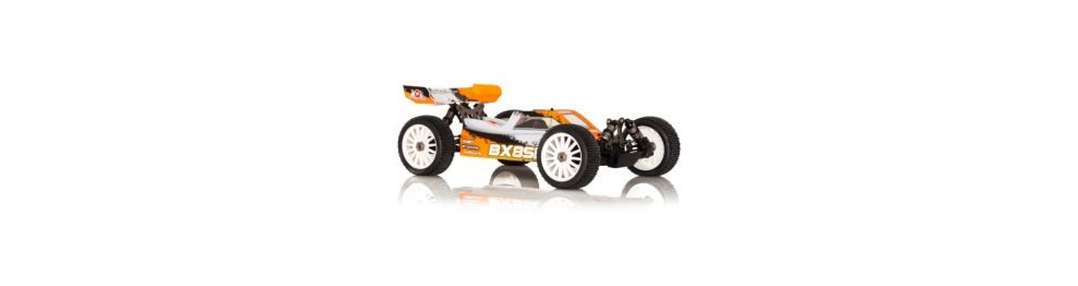 Hobbytech Buggy BX8SL